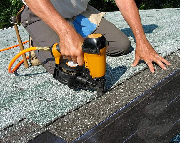 Roof Gutter Cleaning in Eufaula, AL